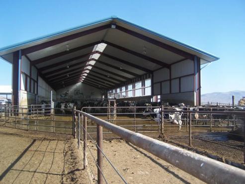 steel agricultural building for livestock